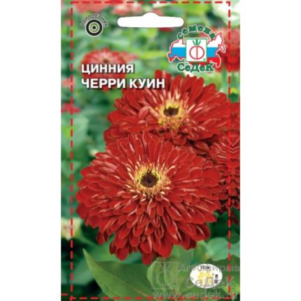 Цинния Черри Куин изящная (вишневая) 0,5г (СеДеК)