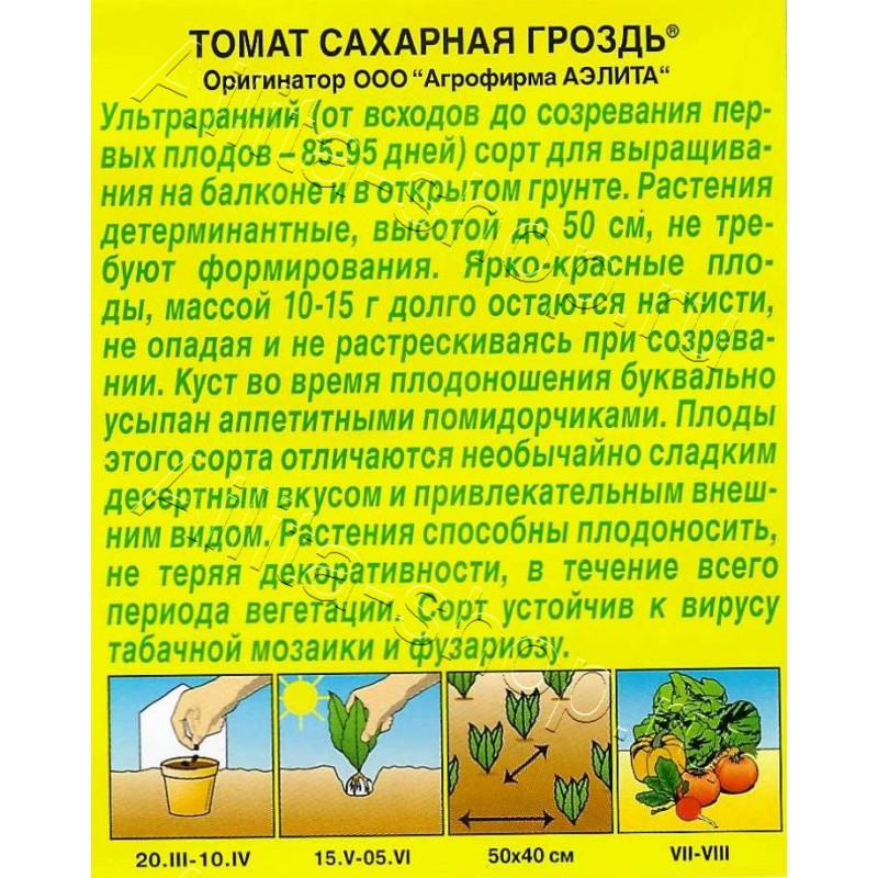 tomat-saharnaya-grozd-20sht-aelita-1.jpg tomat saharnaya grozd 20sht aelita 1